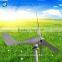 300w small marine wind power generator