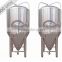 Used Conical Beer Brewery Fermenter for sale 10hL