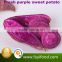 Fresh Organic sweet purple potatoes