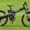 Seagull,cheap electric bike 800w