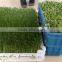 Hydroponics Animal Fodder bean sprout machine/oat sprouting machine/ bean sprout growing machine on sale