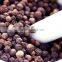 black pepper rate