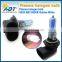 Factory price 9005 plasma halogen bulb, 12v 65w halogen lamp for fog light