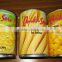 Fresh canned sweet corn kernel