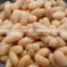 Canned white kidney beans with good quality for sale