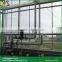 Sawtooth type greenhouse glass clips wood and glass greenhouse