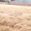 Coconut Fiber High quality (qq : 2598494113)