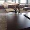 HIGH QUALITY BEST PRICE BEST SELLING FILM FACED PLYWOOD