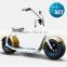 Hot Sale Harley lithium battery Fat Tire Electric Motor Scooter With Ce Charger