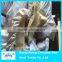 Frozen giant squid wings