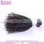 Stocks Kinky Curly Virgin Human Hair Wholesale Natural Black Brazilian Kinky Curly Remy Hair Weave