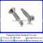 Stainless steel Self-drilling and tapping screws with Hexalobular socket pan/ countersunk/ raised countersunk head