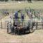 cattle panel cattle crush loading ramp