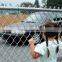 metal temporary welded wire steel chain link security fence