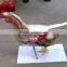 Anatomy Cow model Non-toxic PVC material high quality