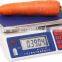 240V weighing scale in grams /portable table top weighingscale india