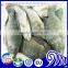 High Quality Seafood Product Red and Black Frozen Tilapia