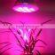 XQD 9w Full spectrum LED Grow light E27 lamp Bulb for medical flower veg plant