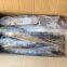 Whole Round Good Quality Spanish Mackerel For Consumption