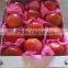 Fresh pomegranate fruits for sale