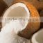 HIGH QUALITY OF COCONUT MILK OR CREAM POWDER FOR FOOD INGREDIENTS AND DESSERTS