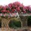 High Quality Crape Myrtle Seeds For Growing