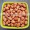 INDIAN EXPORTER 60/70 BOLD PEANUT KERNEL