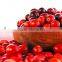 Cranberry Fruit Powder Extract Proanthocynidins 5--60% with anthocyanidins 5-25% UV
