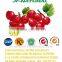 100% natural Hawthorn Powder fruit powder