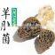 dry stemless morchella esculenta for buyers