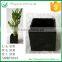 Mini Lucky Bamboo Ceramic Flower Pot