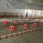 plastic floor slats for poultry/poultry slats/chicken slats