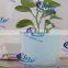 interior decorative pots