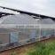 Muiti Span Tunnel PC Sheet Greenhouse for Vegetable and Fruit