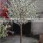 SJ1501011 High quantity white peach tree wedding table tree centerpieces