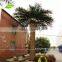 APM012-3 GNW Artificial Date Palm Trees for the Villa Decoration