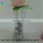 Clear Glass Vases and Cheap Tall Glass Cylinder Vases for Home Decoration