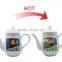 Custom Printed Bulk China Tea Cup and Saucer