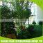 Professional Design Plant vertical wall