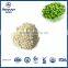 Good Pea Protein Powder