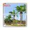 Artificial Big Coconut Palm Trees,cheap Large Fake Trees