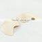 V shape front buckle push up adhesive bra with pad