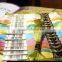 embroidery flosses 447 colors cotton threads cross stitch 8m per piece