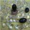 Crystal Shiva Lingam shivling