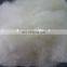 Dehaired and Carded Chinese Sheep Wool 21.5mic/32-34mm