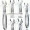 High Quality Dental Extracting tooth Forceps English Pattern(PayPal accept)