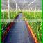 UV-treated woven black polypropylene ground cover/reflect sunlight weed mat