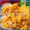 types of frozenccanned sweet kerenel corn with balanced nutrition made in Chinese factory