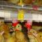 Poultry Nipples Waterer for Duck Drinker