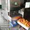 Apple Peeling Machine Industrial Electric Apple Peeler Corer Slicer Machine